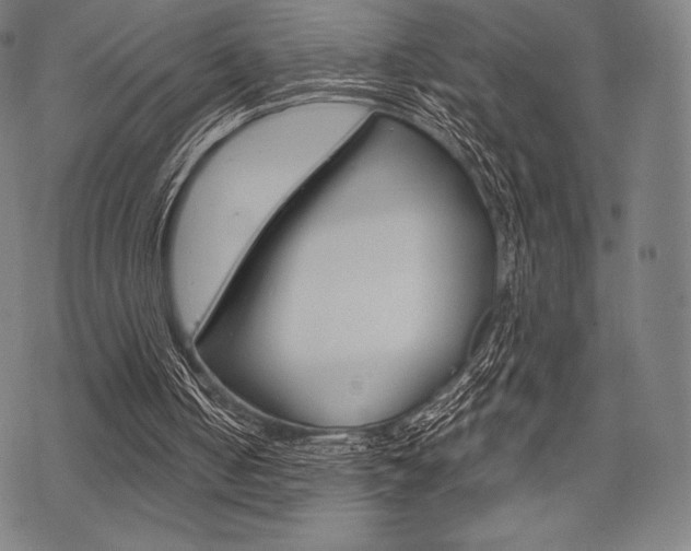 X0000068830050200605050928