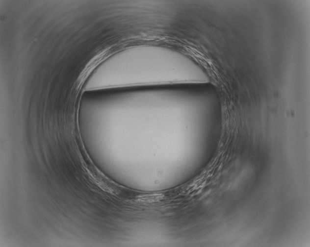 X0000068830051200605050928