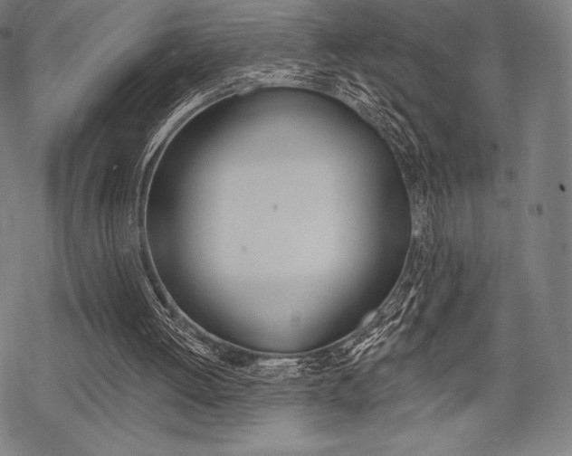 X0000068830052200605050928