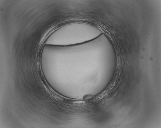 X0000068830053200605050928