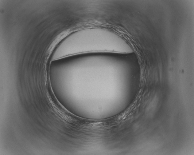 X0000068830054200605050928