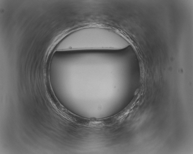 X0000068830055200605050928