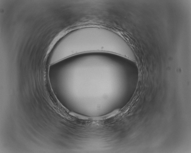 X0000068830056200605050928