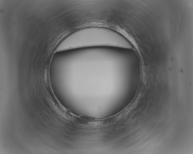 X0000068830057200605050928