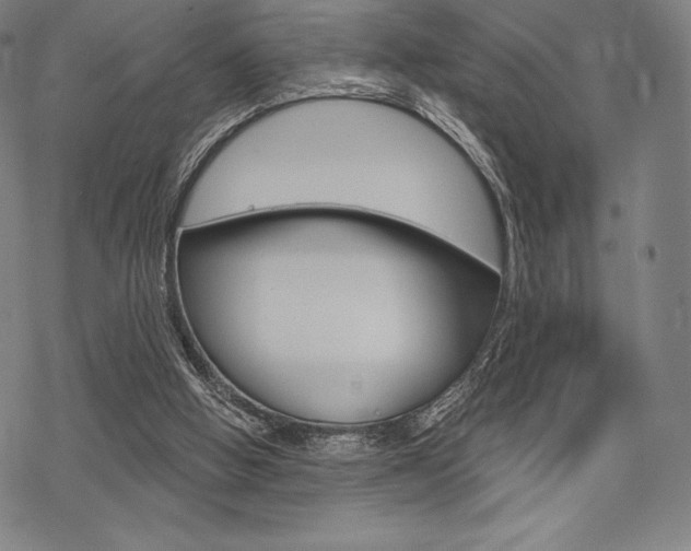 X0000068830058200605050928