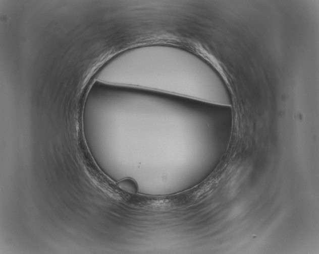 X0000068830059200605050928