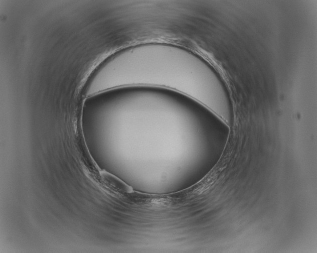 X0000068830060200605050928