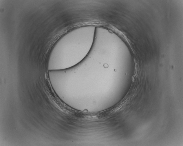 X0000068830061200605050928