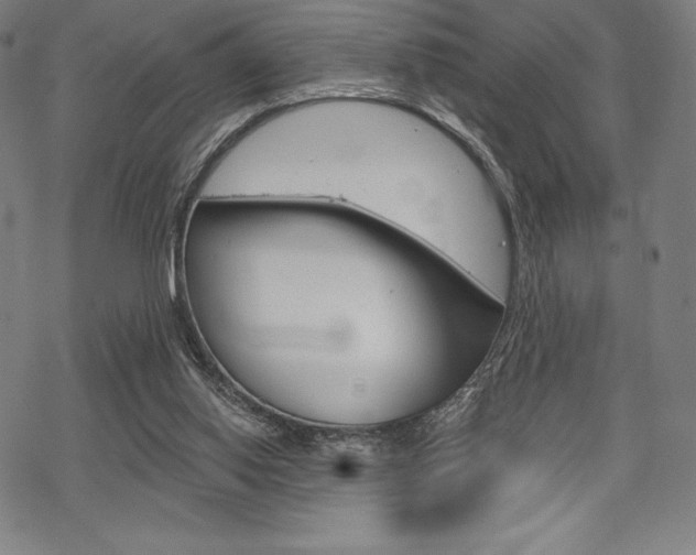 X0000068830062200605050928