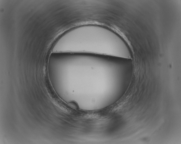 X0000068830063200605050928