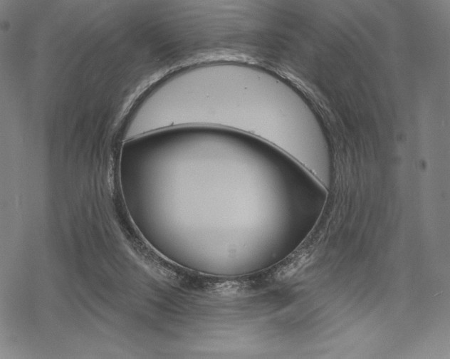 X0000068830064200605050928