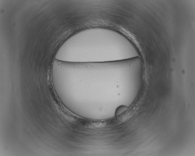 X0000068830065200605050929