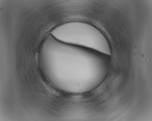 X0000068830066200605050929