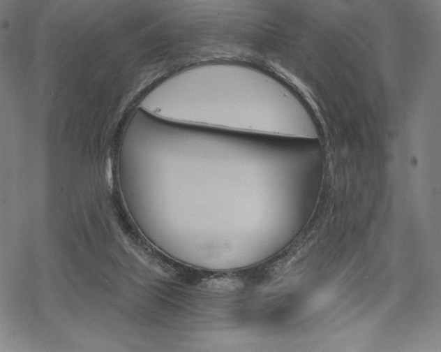 X0000068830067200605050929