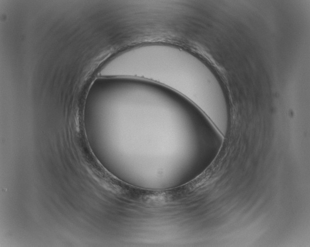 X0000068830068200605050929