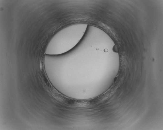 X0000068830069200605050929