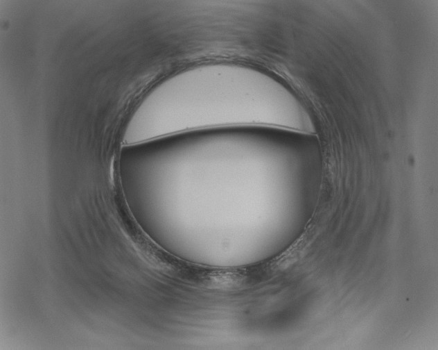 X0000068830070200605050929