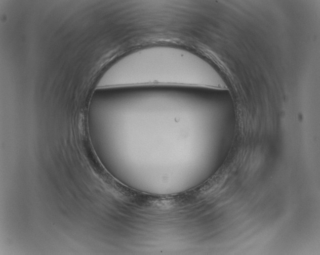 X0000068830071200605050929