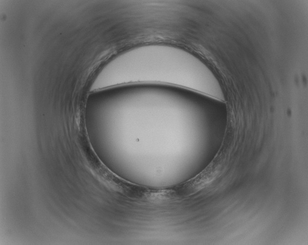 X0000068830072200605050929