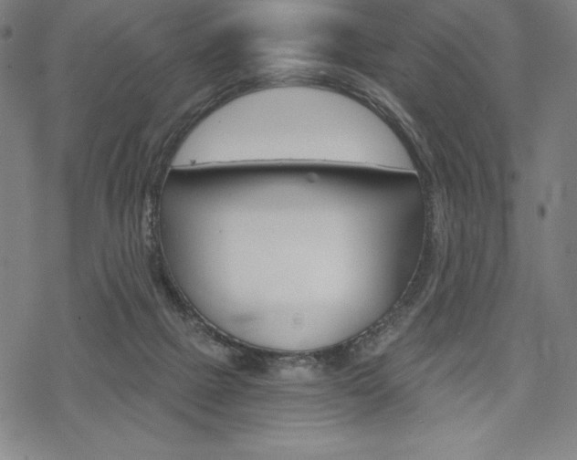 X0000068830073200605050929