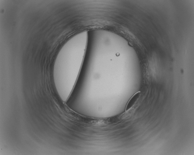 X0000068830074200605050929