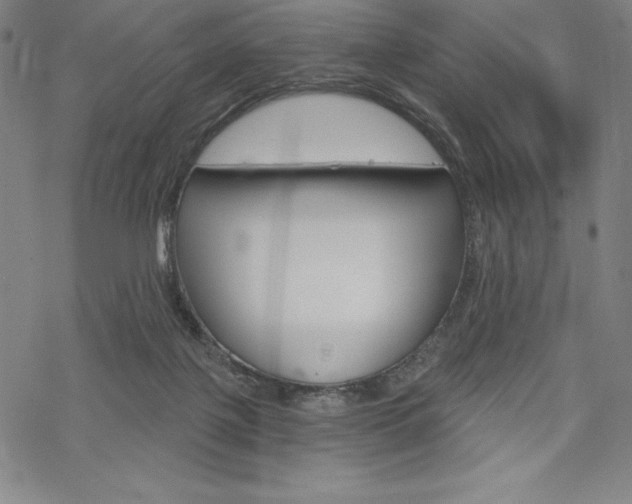 X0000068830075200605050929