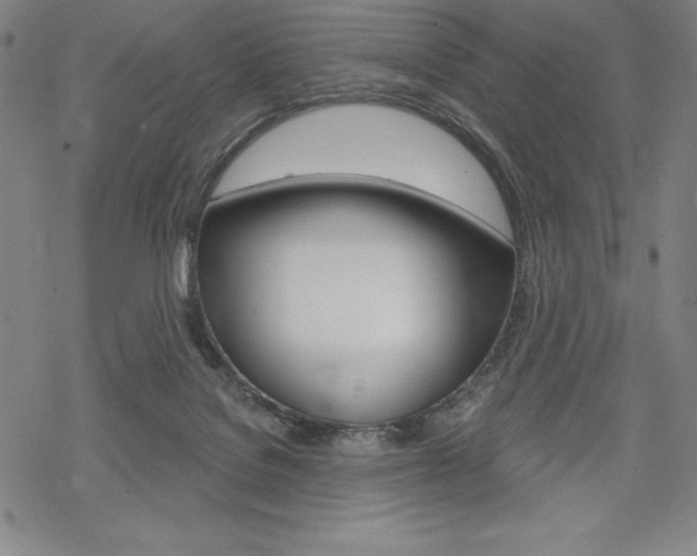 X0000068830076200605050929