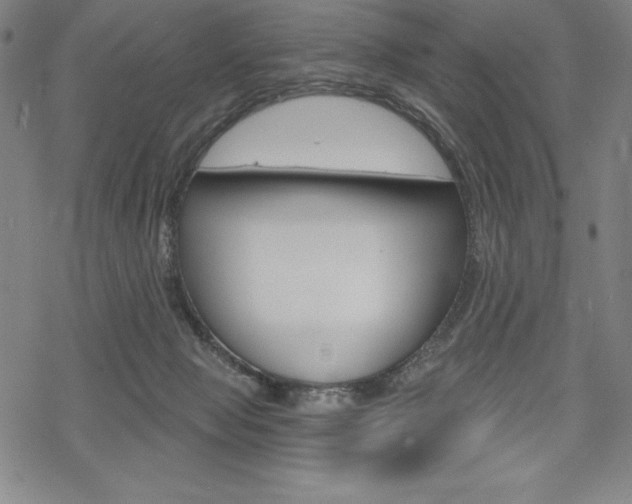 X0000068830077200605050929