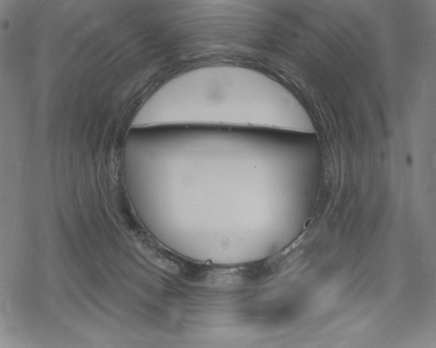 X0000068830078200605050929