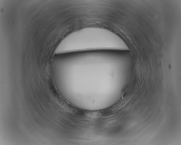 X0000068830079200605050929