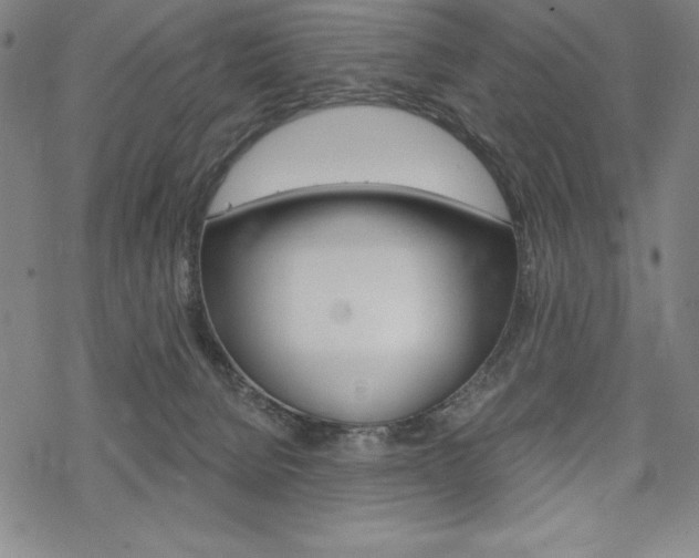 X0000068830080200605050929