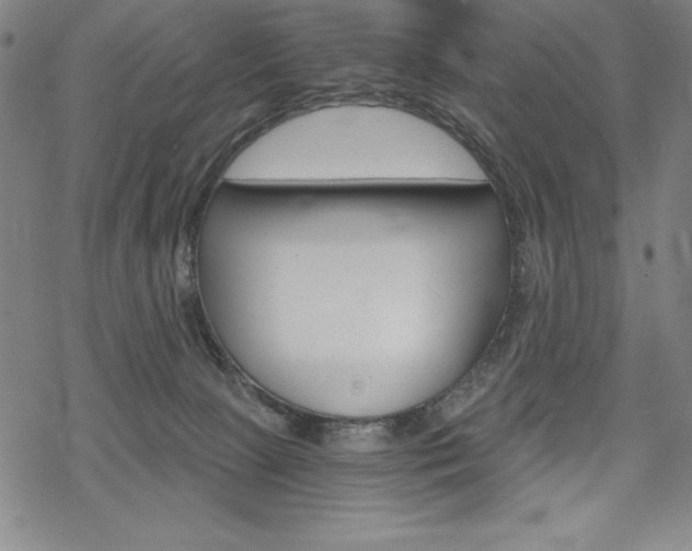 X0000068830081200605050929