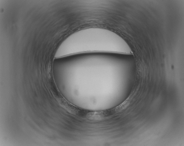 X0000068830082200605050929