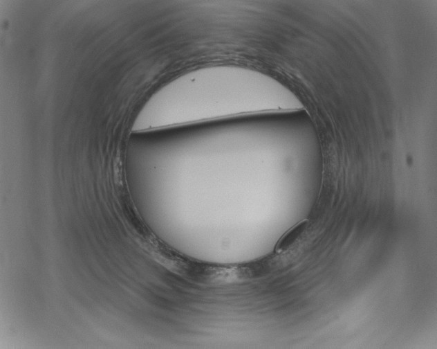 X0000068830083200605050929