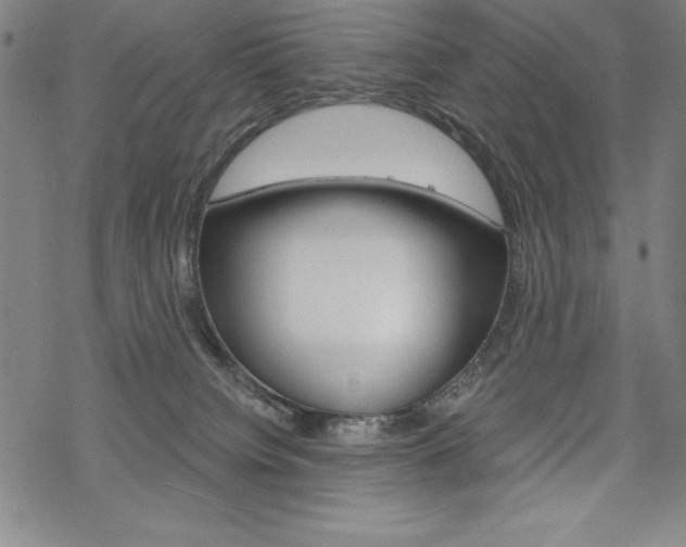 X0000068830084200605050929