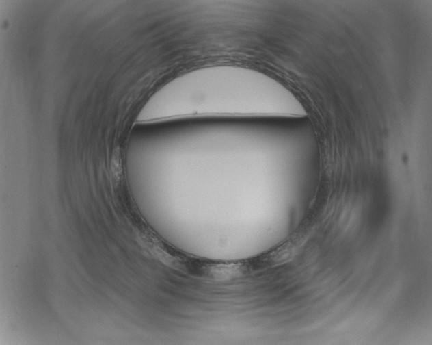 X0000068830085200605050929