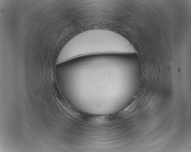 X0000068830086200605050929