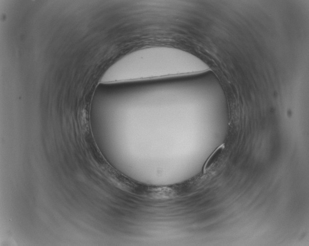 X0000068830087200605050929