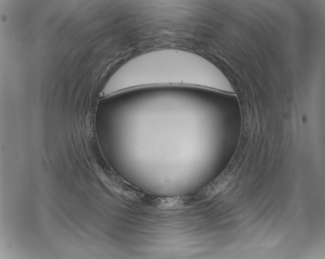 X0000068830088200605050929