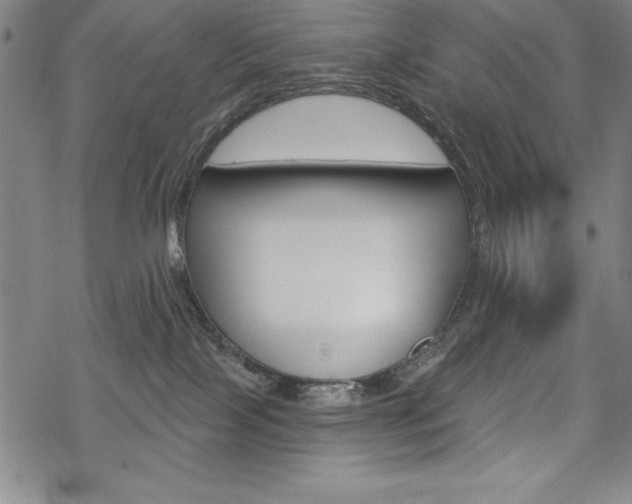 X0000068830089200605050929