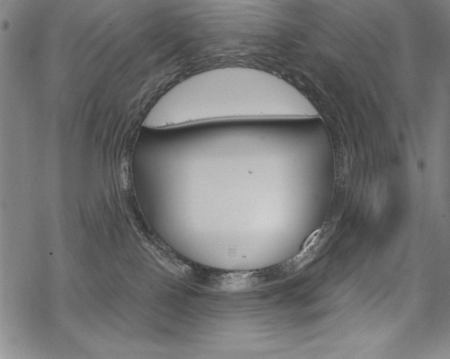 X0000068830090200605050929