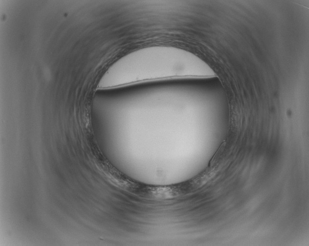 X0000068830091200605050929