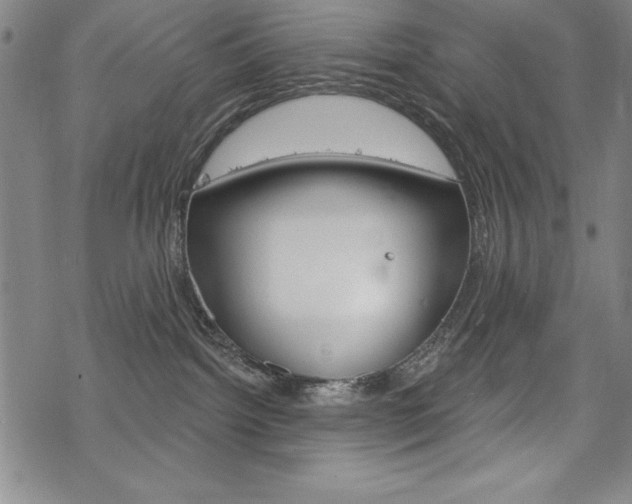 X0000068830092200605050929