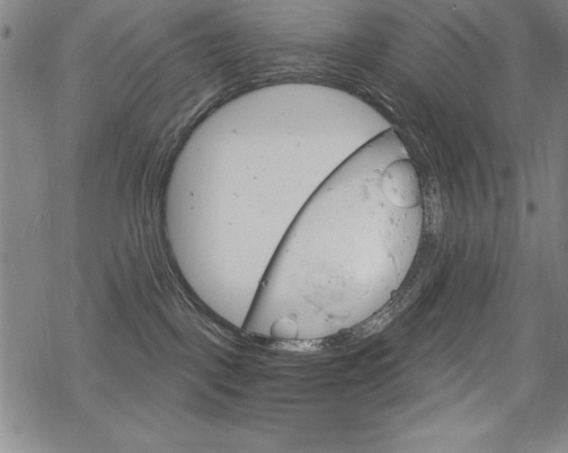 X0000068830093200605050929