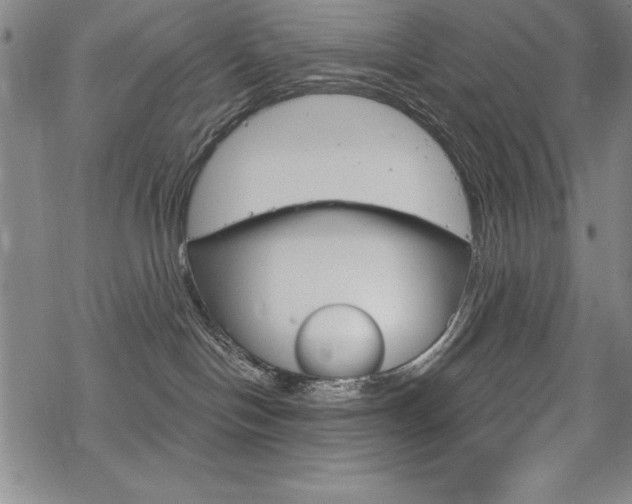 X0000068830094200605050929