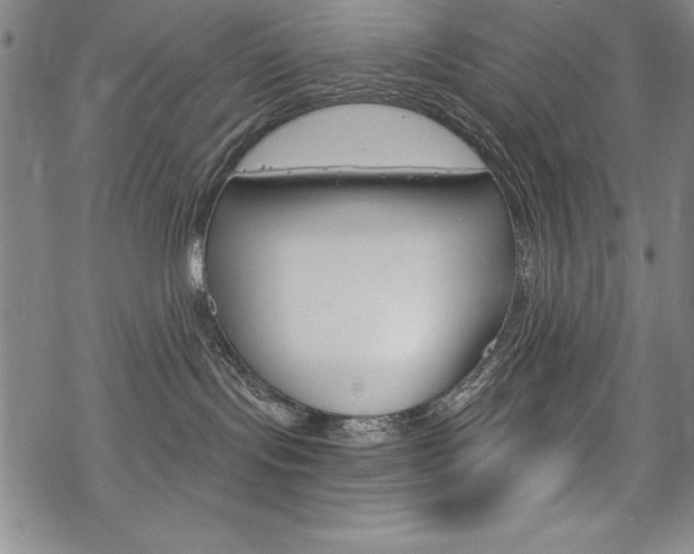 X0000068830095200605050929