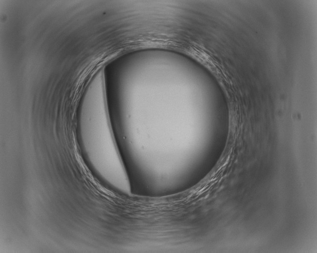 X0000068830097200605050928