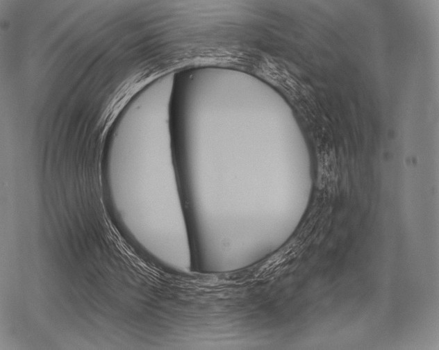 X0000068830098200605050928