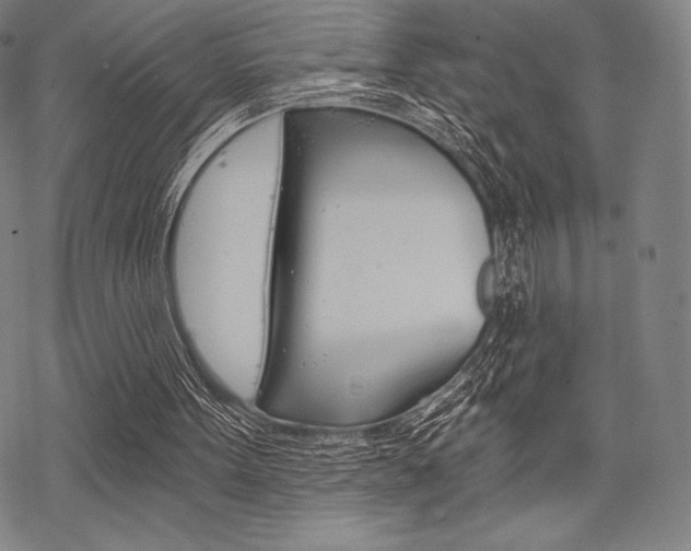 X0000068830099200605050928