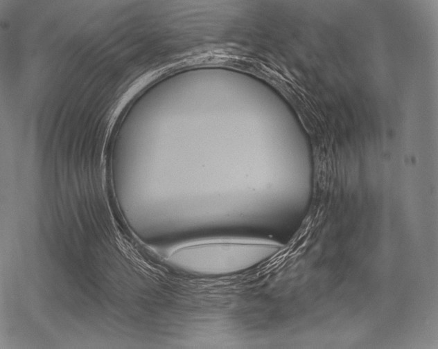 X0000068830100200605050928